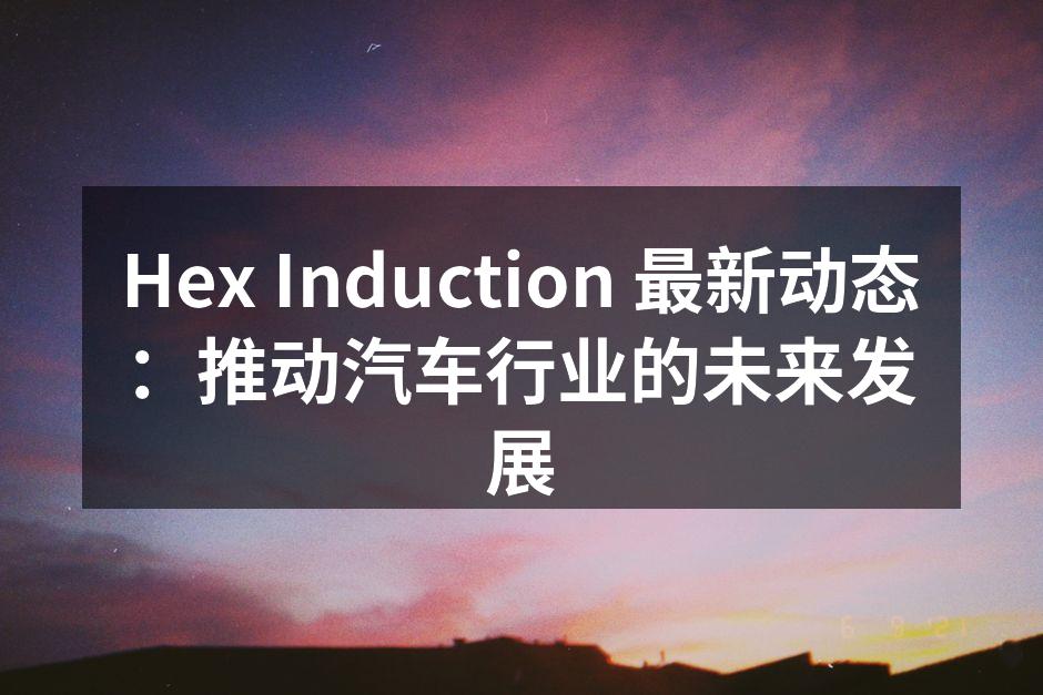 Hex Induction 智能监控系统展览现场
